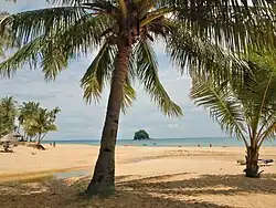 Strand von Mentawak