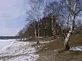 Süduferbereich im März 2005