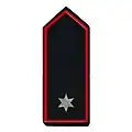 (Werk-)Brandmeister/-in