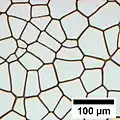 Durch Koaleszenz von Entnetzungs-Löchern gebildete Polygone mit einer Struktur, die Voronoi-Diagrammen ähnelt.