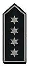 Brandamtsrat/-rätin (BrAR)