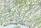 1113: Ricken