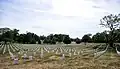 Nationalfriedhof Arlington, Virginia