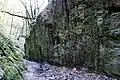 Felswand in der Schlucht