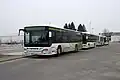 Drei Setra S 415 NF (dazwischen ein MAN-Fahrzeug) in Österreich