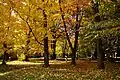 Botanischer Garten