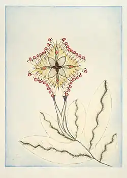 Ohne Titel, 1970er Jahre