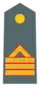Divisa de sargento primero