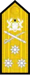 Dienstgradabzeichen eines Vice Admiral
