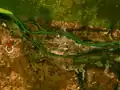 Satellitenbild