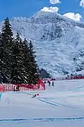 Das Gleitstück Langentrejen mit Blick auf die Jungfrau, 2019
