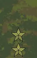 Felddienstanzug, Russische Streitkräfte ab 2010.