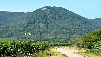 Blick aus Richtung Edenkoben westwärts zur Nordkuppe des Blättersbergs; davor die Villa Ludwigshöhe