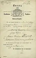 Geburtsurkunde (1869/1891), Auszug aus den Zivilstand Registern, der Freien und Hansestadt Hamburg