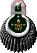 Epaulette eines Professors der Militärmedizinische Akademie S. M. Kirow im Range eines Geheimrats