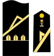 Insignia de Cabo Mayor