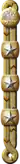 Generalleutnant (Oberstleutnant, Fähnrich)