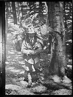 1933: „Ausbeutung des Waldes. Mann holt Farne“; Fotografie von Wilhelm Pietzsch