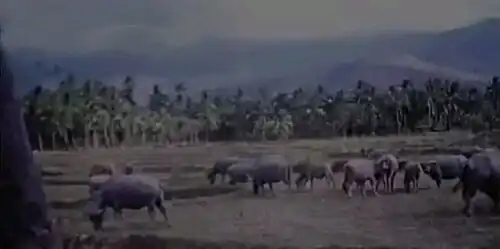 Fatuhada (1967)
