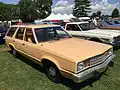 Fairmont Station Wagon (1979)