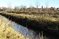 Die Wurm in der Nähe der Frelenberger Mühle