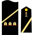Insignia de Cabo Primero