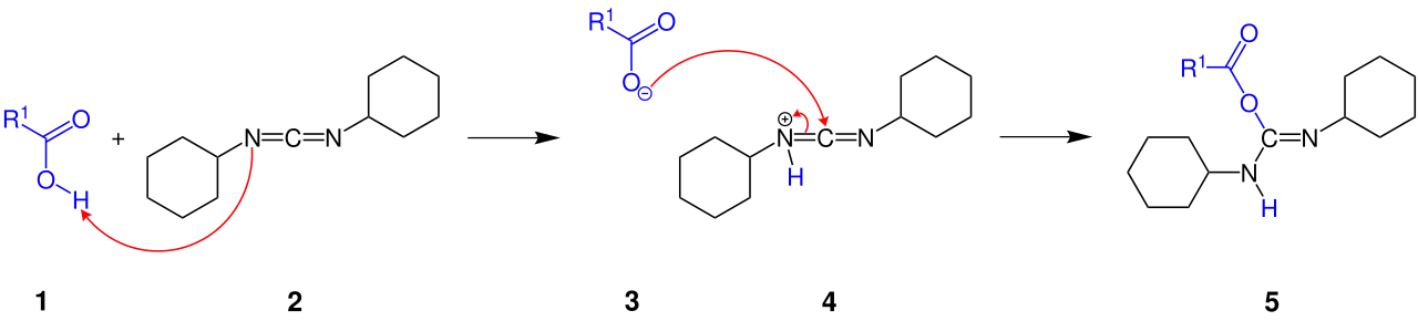 Teilschritt des Mechanismus der Steglich-Veresterung