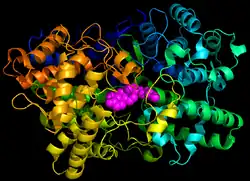Lanosterin-Synthase