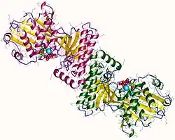 Mevalonatkinase