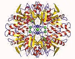 Ribose-5-phosphat-Isomerase