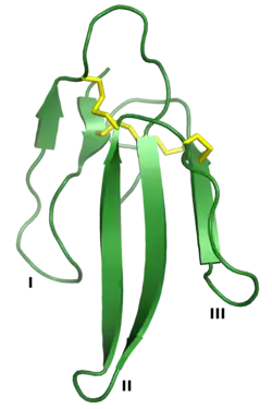Erabutoxin A, ein Drei-Finger-Toxin