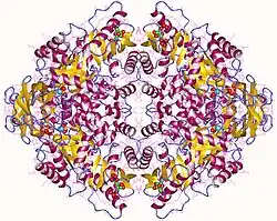 Pyruvatkinase