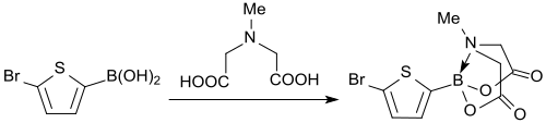 Synthese von 2-Bromthienyl-MIDA-Boronat