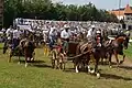 Wagenrennen