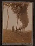 Wiedenroth (1907)