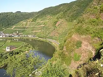 Klosterruine Stuben, Mosel und Calmont