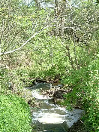 Floßbach