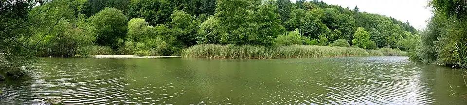 Naturschutzgebiet bei Herblingen