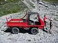 Haflinger im Rundweg des Lünersees