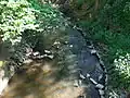 Schwalbach