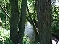 Schwalbach