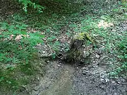Waldbachquelle