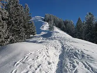 Anstieg im Winter