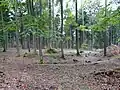 Wp 10/10 Südlicher Holzturm (Zustand Oktober 2009)