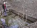 Ursprung der Fischa