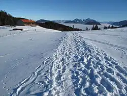 Gindelalm, im Hintergrund der Wendelstein