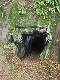 Mundloch im Festgestein, Schiefer-Bergstollen am Wispertalsteig im Naturpark Rhein-Taunus