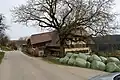 Bauernhaus in Reisiswil