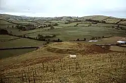 Cullahill County Tipperary, Ringwork