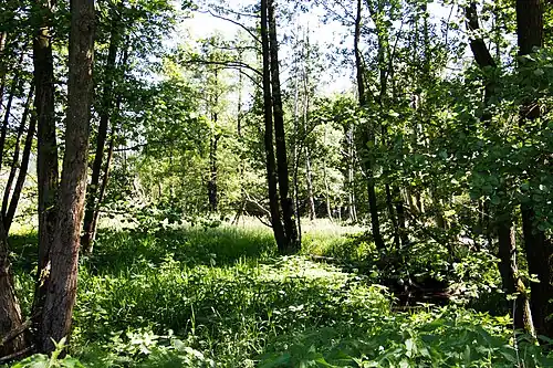 Ponnholzbachtal